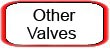 Other Valves